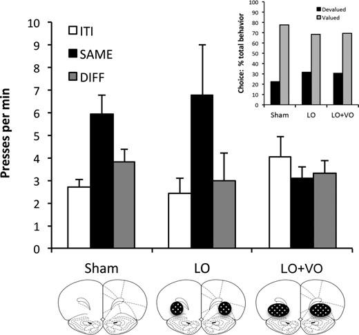 Balleine et al. OFC and predicted value Figure 1. Effect of large pretraining lesions of the OFC on outcome-specific Pavlovian-instrumental transfer.