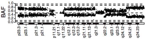 SNPs mirrored allele B fractions for heterozygous SNPs: ρ = β 1/2 = DH/2 For