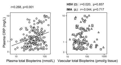 Why is GCH1 X haplotype of particular interest for vascular function?