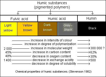 the fraction of humic substances that is soluble in water under all ph conditions remains in solution after removal of humic acid by acidification light yellow to yellow-brown in color the fraction