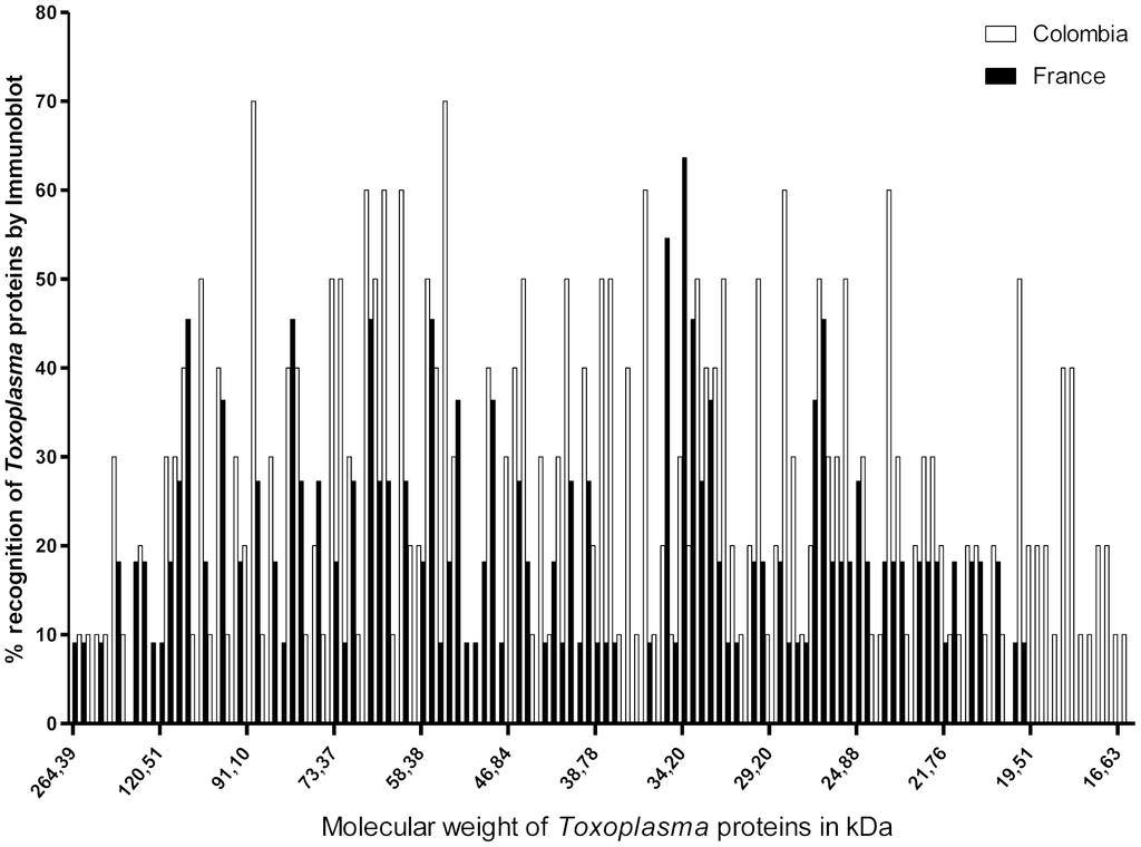 Figure 2. Differences in pattern recognition by immunoblotting between Colombian and French patients.