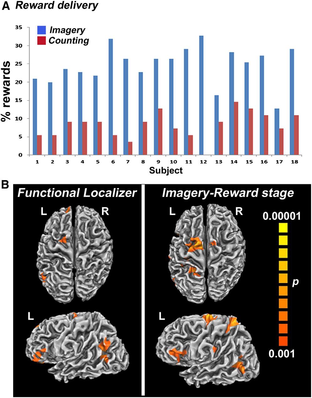 Brain, (2014), http://dx.doi.org/10.1016/j.neuron.2013.10.019 Figure 2.