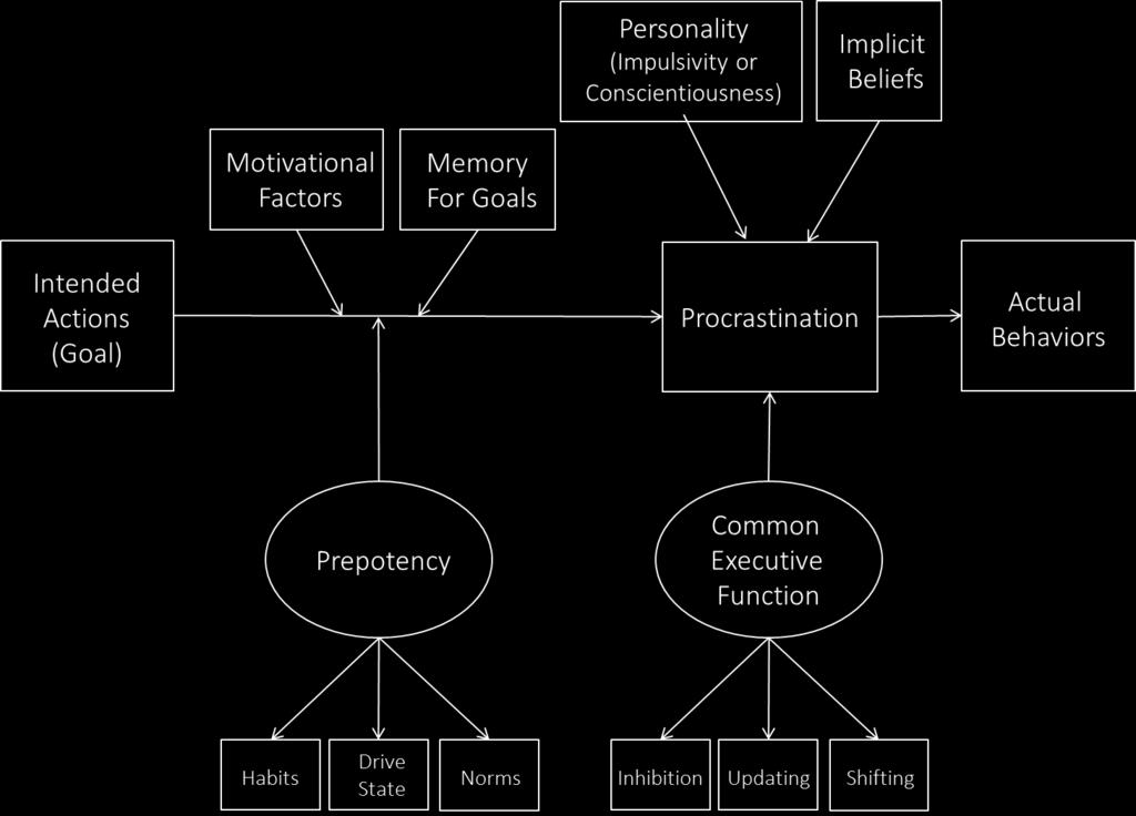Investigating the Cognitive Underpinnings of Procrastination 88 recent research linking these constructs, but it is possible that EF could have an effect on intentions vs.