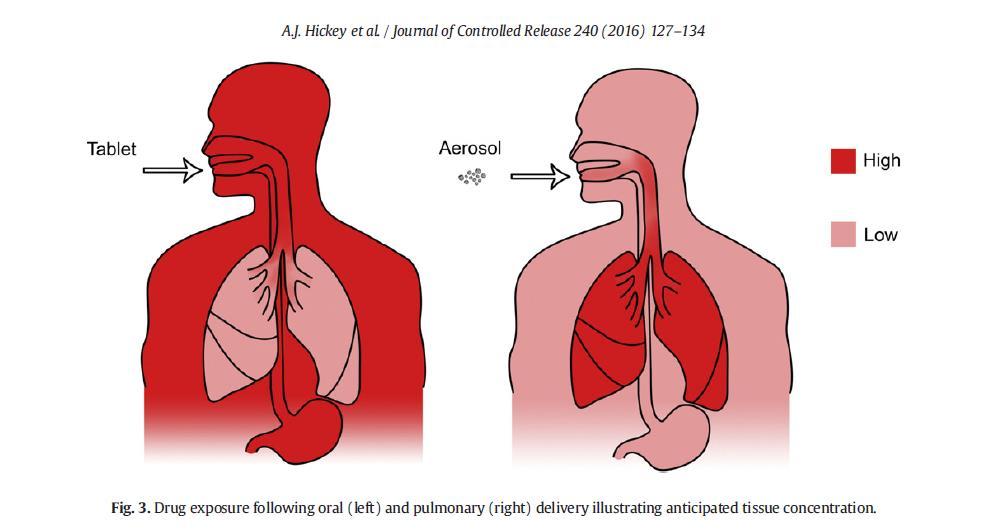 Inhalation PK/PD Drug exposure following oral (left) and pulmonary (right) delivery illustrating anticipated tissue concentrations 1 References: 1. Hickey,AJ., Durhama,P.