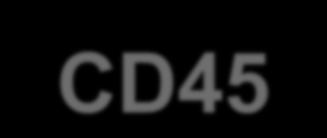 CD45-APC neg Tumor