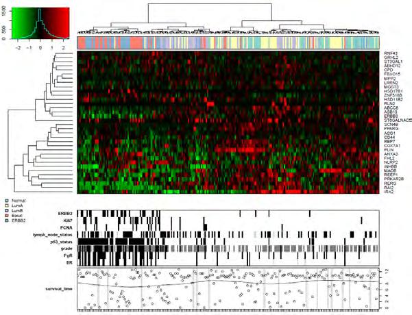 Expression profiling on micro-dissected tumor tissue RAI2 Bioinformatic analysis