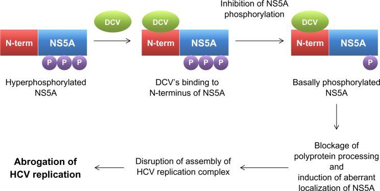 Inhibition of NS5A