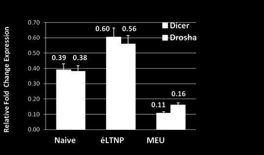 patients. Only in MEU subjects the mirna expression is strictly correlated to enzyme expression.