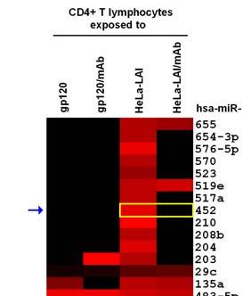 5 out of 23 mirnas, which expression may be related to CD4/gp120