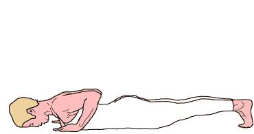 ACTION: 2 (1) Exhale to come up on your toes, inhale to return to Pilates stance.