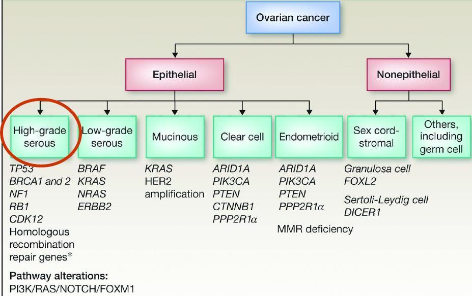 OVARIAN CANCER (OC): MULTIPLES DISEASES Different types with different behaviour Commonest High grade serous ovarian cancer (HGSOC) HGSOC: