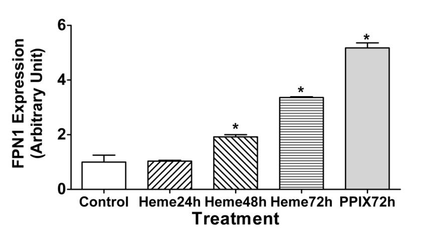 171 A FPN Ft TfR HO-1 Calnexin Control Heme 24h Heme 48h Heme 72h PPIX 72h B Figure 6-3. Pretreatment of heme adaptively enhances FPN1 protein levels in Caco-2 cells.