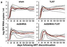 Vaccine (Ad26/MVA primeboost) alone had minimal effect on reservoir Vaccine + TLR7 agonist (Gilead) reduces