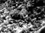 in SEM photographs presented in Fig. 5. KTPF appeared as plate- like crystals, tending to form aggregates.