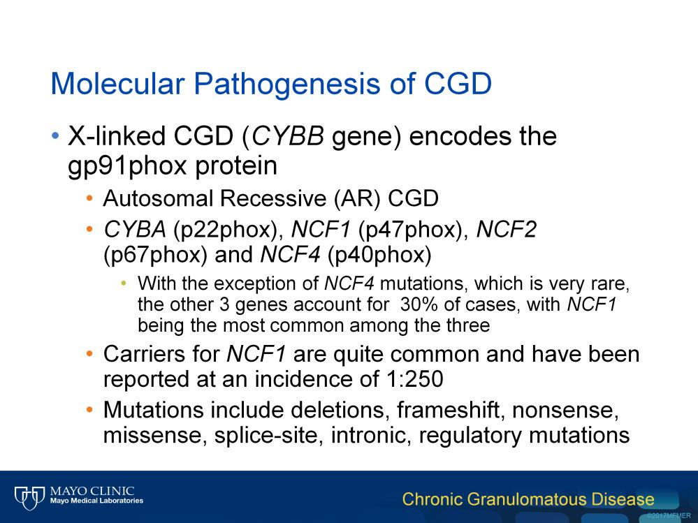 The X-linked form of CGD is caused by mutations in the CYBB gene, including the gp91phox protein.