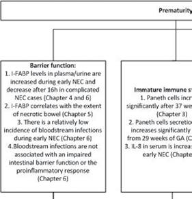 FIGURE 1: Key findings of this thesis implemented in the multifactorial model of NEC Abbreviations: Intestinal fatty