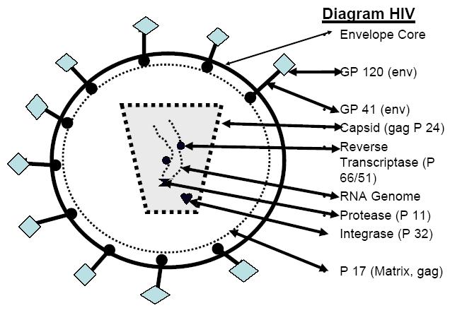 Fig. 1: Schematic diagram
