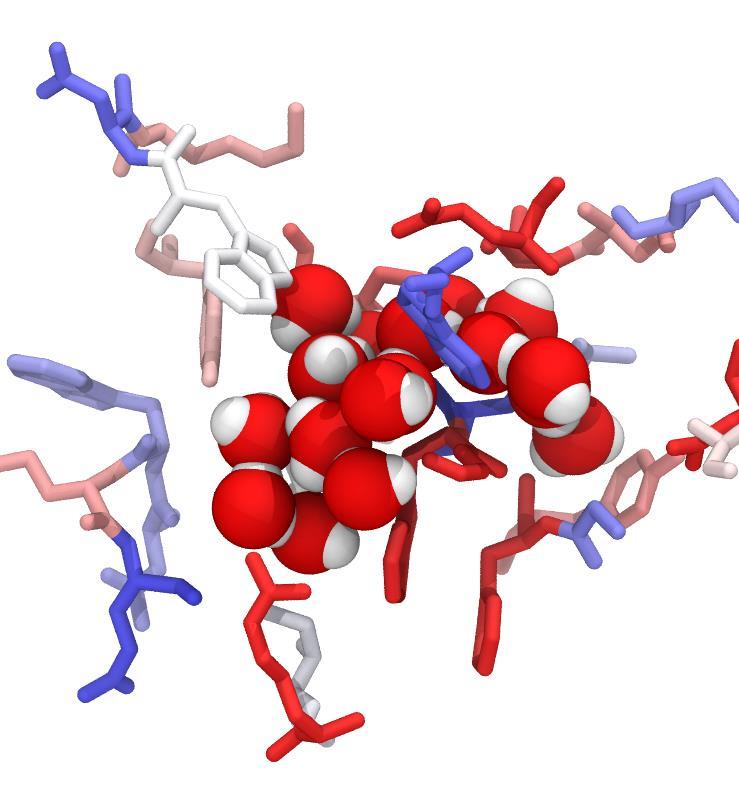 Residues can be color-coded based on whether they stabilise binding the ligand,