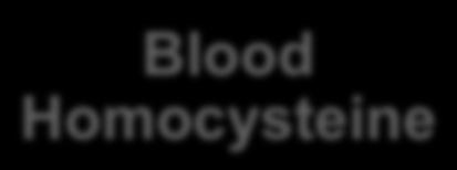 Care Pathway 3 (Hyperhomocysteinemia) Blood