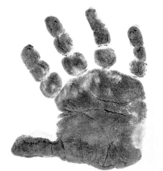 Harmful and potentially harmful constituents handprint