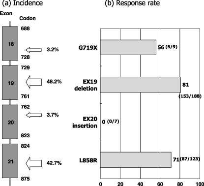 Distribution of Mutations and Response Rate to TKI EX19 DEL ~90% Not all EGRF mutations