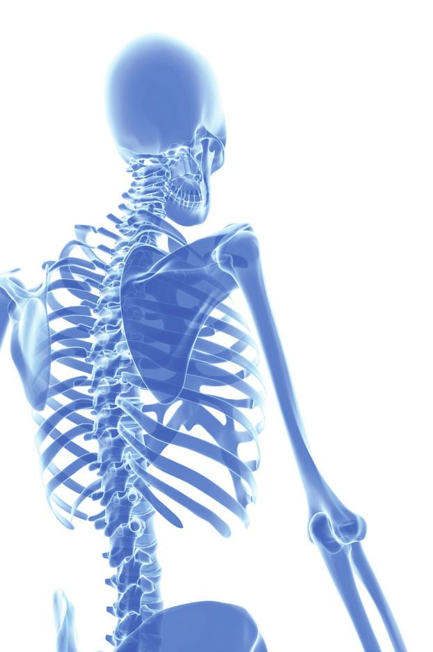 Around the world, about one in three women and one in five men aged 50 and over will break a bone due to osteoporosis.