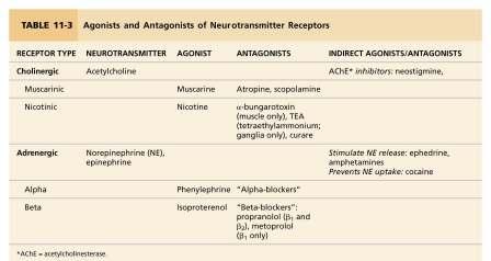or degradation of NT MG: Antibodies block, alter, or