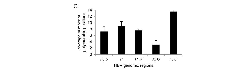 Fig. 1: Average number of polymorphic positions on PCR primers located in (A) HIV-1, (B) HCV and (C) HBV genomic regions.