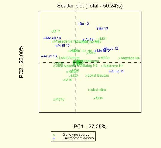 Figura 19. Rezultadu Analiza GGE biplot (variedade oin 25 iha ambiente 9) tinan 2012-2013.