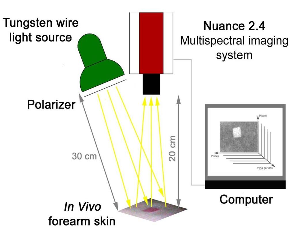 Reflectance imaging spectroscopy Hyperspectral imaging cameras allow