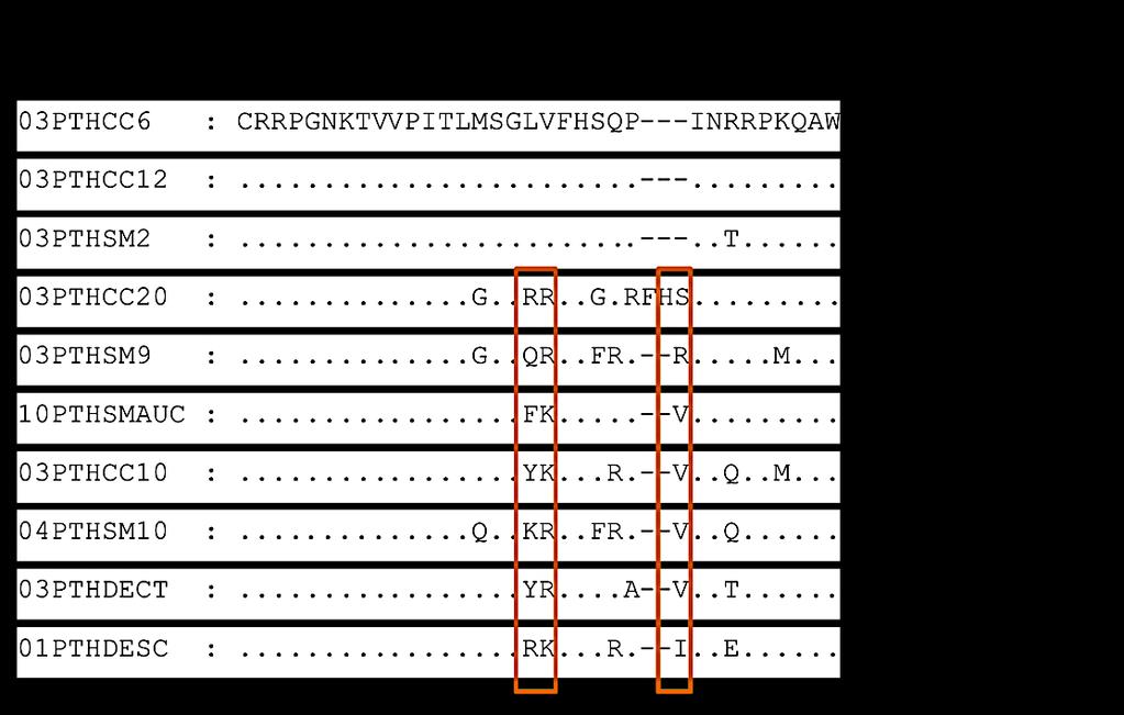 Chapter III C) Figure 1C. Susceptibility of X4 and R5 primary isolates of HIV-2 to antibody neutralization. Alignment of the amino acid sequences of the V3 loop of the X4 and R5 isolates.