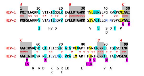 Chapter I Figure 4. Amino acid sequence comparison of HIV-1 and HIV-2 proteases of reference strains HIV-1 HXB2 and HIV-2 ROD. Identical residues are marked with red asterisks.