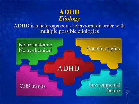 ADHD Continued The ADHD affected brain can be either over-aroused or