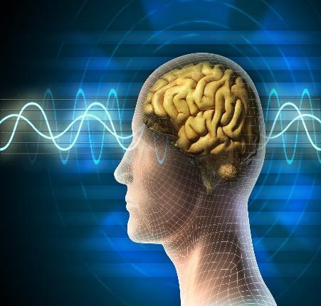 Slow brain waves have frequencies less than 10 Hz Faster brain waves have