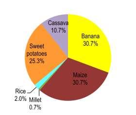vegetables. In this survey, the foods considered as the major staple foods varied across the four districts.