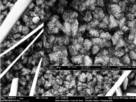 95 V and (d) zinc chloride at -0.95 V. by using SEM (Scanning electron microscopy). The surface of the ZnO film prepared using zinc nitrate exhibit flaky morphology.
