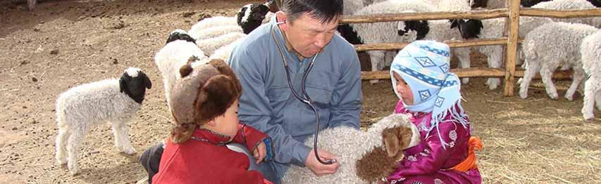 OUTLINE Background to Mongolia FMD history FMD control strategy and mission of CMC Public