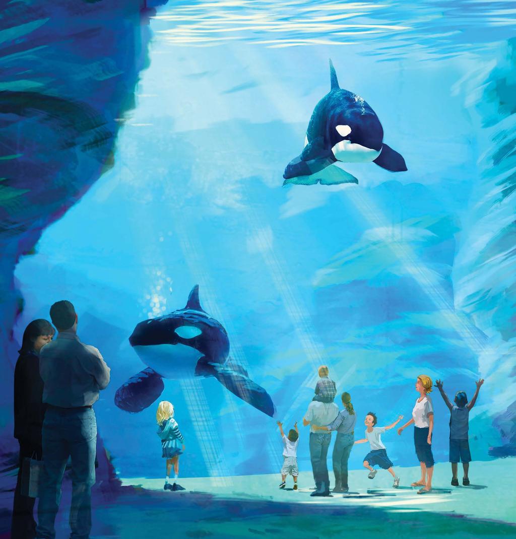 HELPING WHALES IN THE WILD As part of the Blue World Project, SeaWorld has committed $10 million in matching funds focused on threats to killer whales in the wild, especially those identified by the