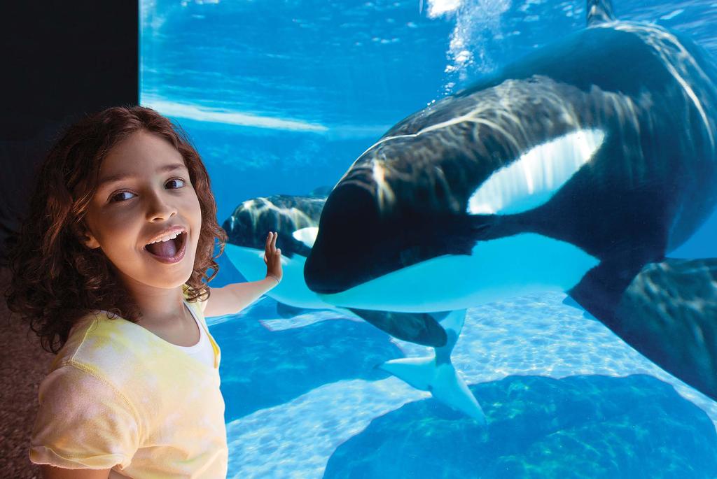 SEAWORLD S MISSION More than 50 years of world-class care, state-of-the-art animal habitats, and commitment to animal welfare have earned our parks recognition as global leaders in the zoological