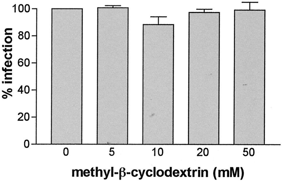 (C) Influenza virus was pretreated with various concentrations of methyl- -cyclodextrin, and MDBK cells were infected at an MOI of 1 infectious unit per cell.