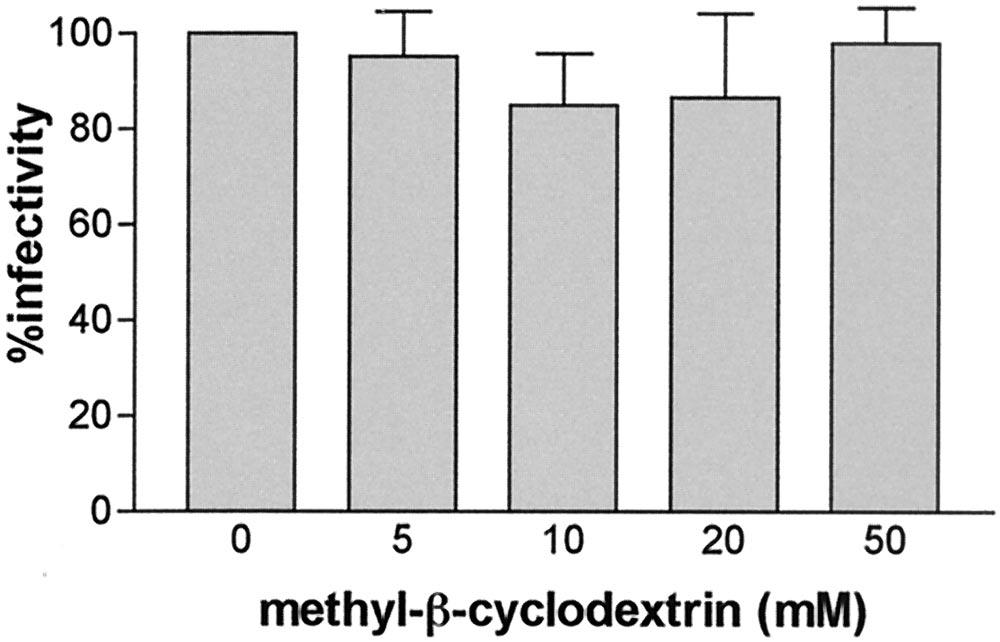 Purified influenza virus was treated with various concentrations of methyl- -cyclodextrin for 30 min, and the cholesterol content was determined using a cholesterol assay kit (Fig. 5).