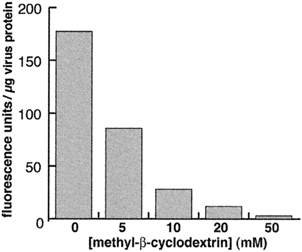 These data confirm that methyl- -cyclodextrin treatment produces specific and efficient depletion of virion envelope cholesterol.