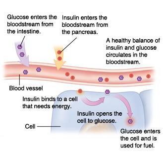 Insulin, a hormone, then helps cells in the body to absorb this glucose and use it for energy. What is diabetes?