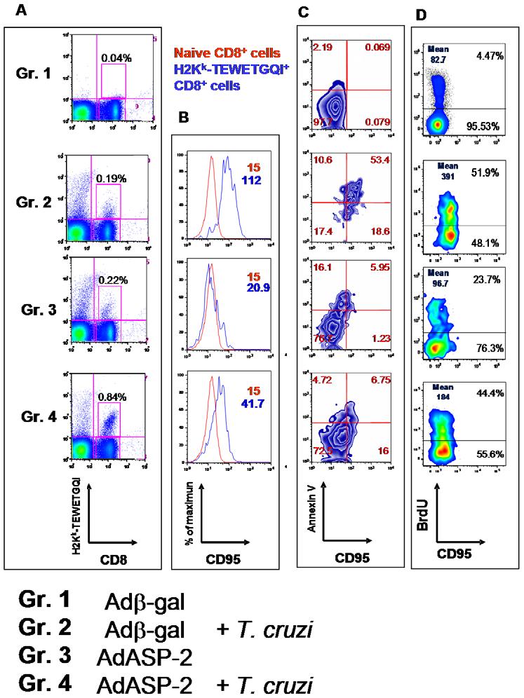 were from naive mice (red lines). Results of CD44, KLRG1 and CD183 staining are presented as MFI and frequencies of the CD44 High, KLRG1 High or CD183 High cells, respectively.