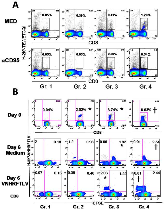 Figure 6. In vitro survival capacity of specific CD8 + T cells from infected and/or AdASP-2 immunized mice. A) A/Sn mice were immunized i.m. with Adb-gal or AdASP-2 vaccine (2610 8 pfu/mouse).
