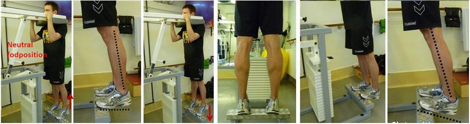 Figure S3. Calf raises with straight knee. Progression achieved by increasing resistance (5RM to 4RM). Week 5-2.