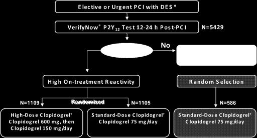 *Peri-PCI clopidogrel per protocol-mandated criteria to ensure steady-state at