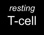 activation resting T-cell