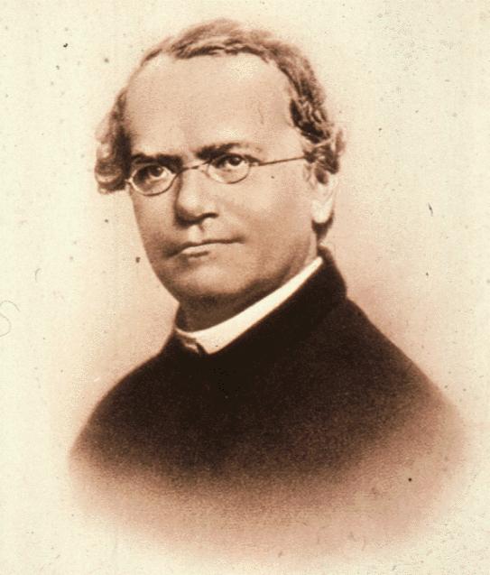 Gregor Mendel An Augustinian monk, Mendel studied physics and
