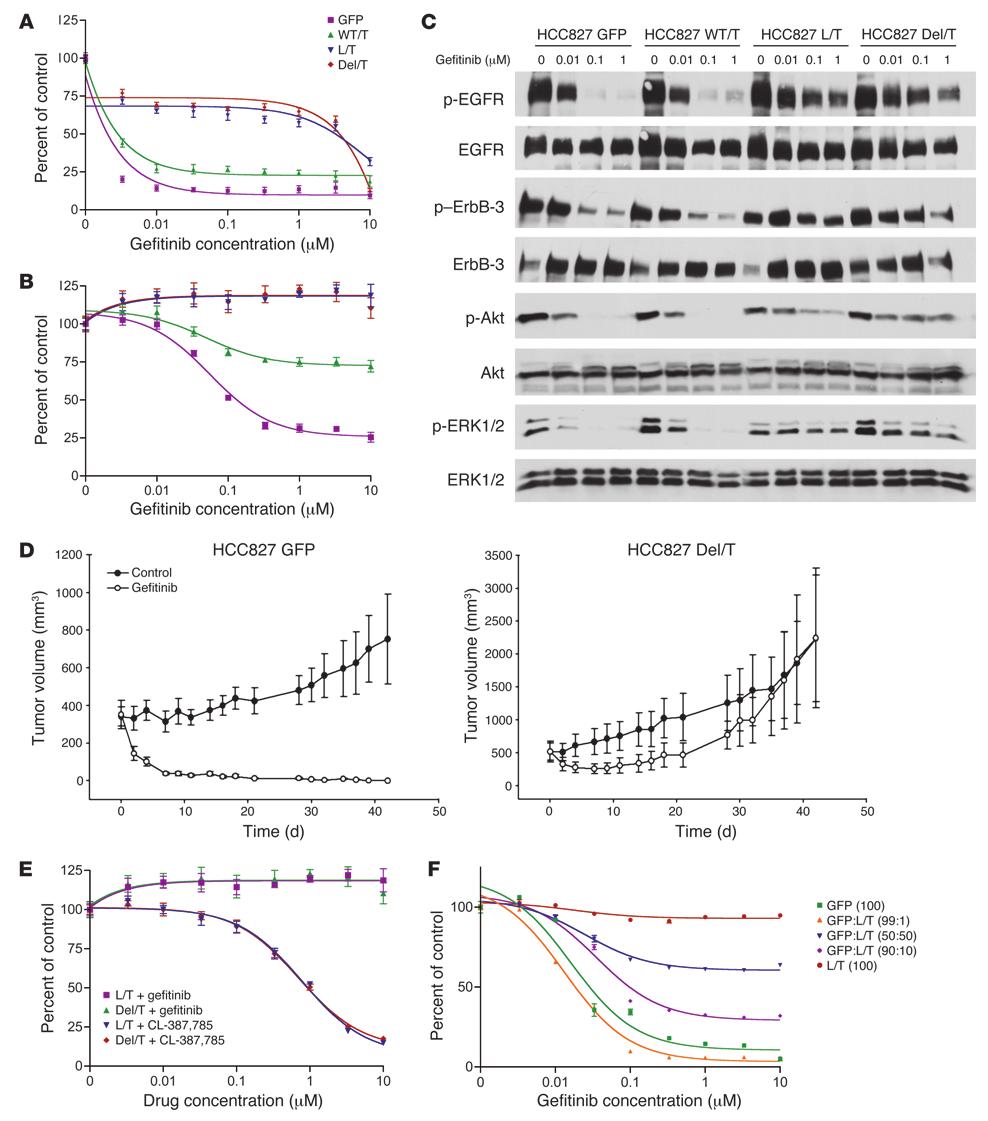 Figure 3 Expression of EGFR with a L858R/T790M or Del/T790M mutation more effectively promotes gefitinib resistance in HCC827 and H3255 cells.
